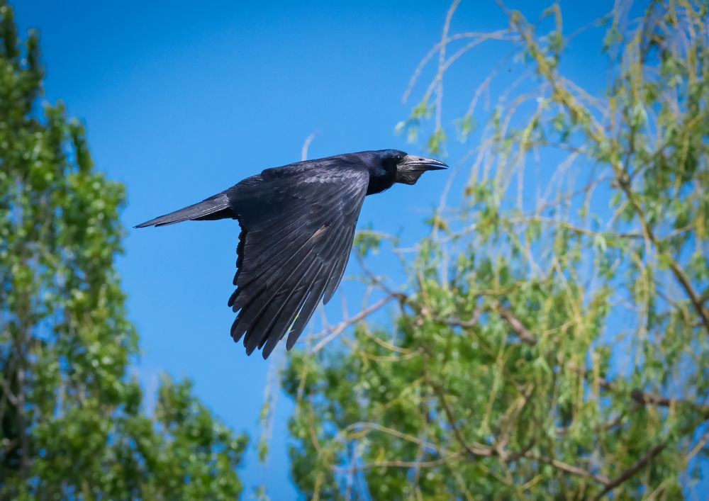 Photograph by Владимир Кваша