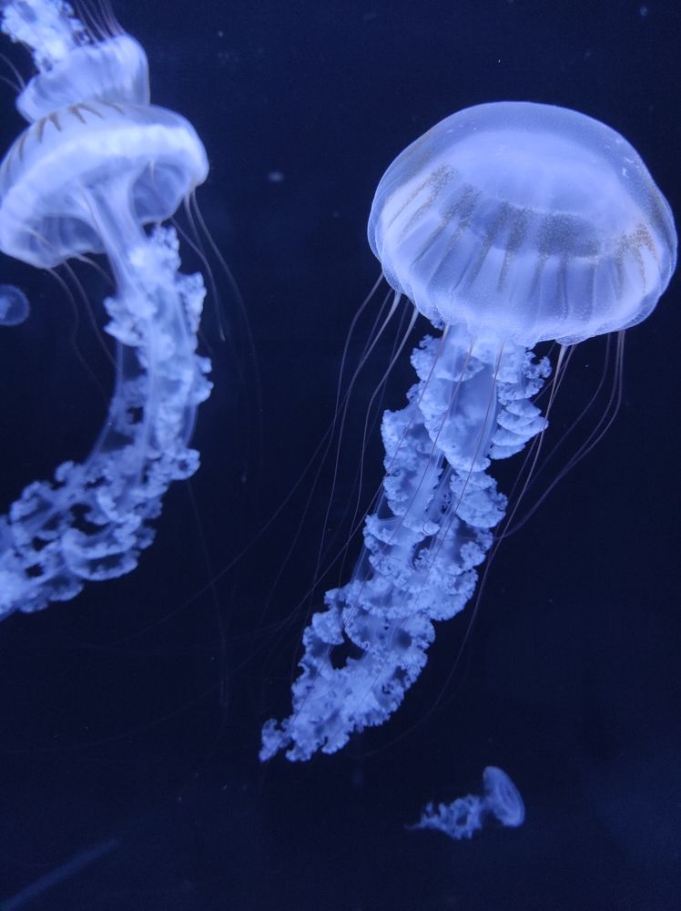 Photograph by Галина Лысых