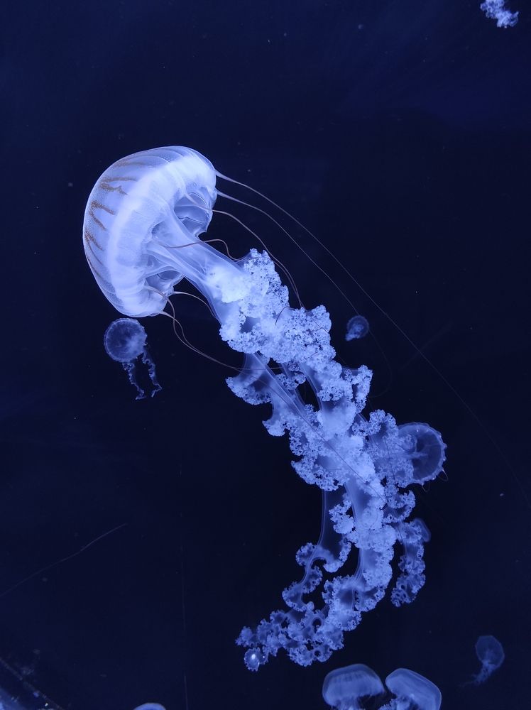 Photograph by Галина Лысых