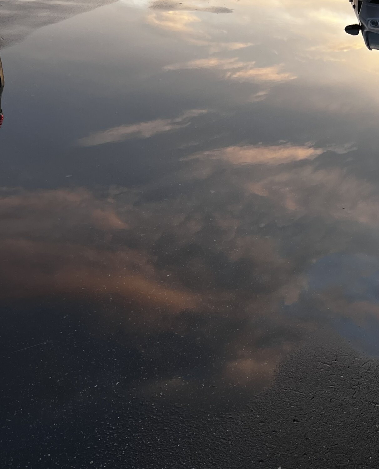 Photo #10506641