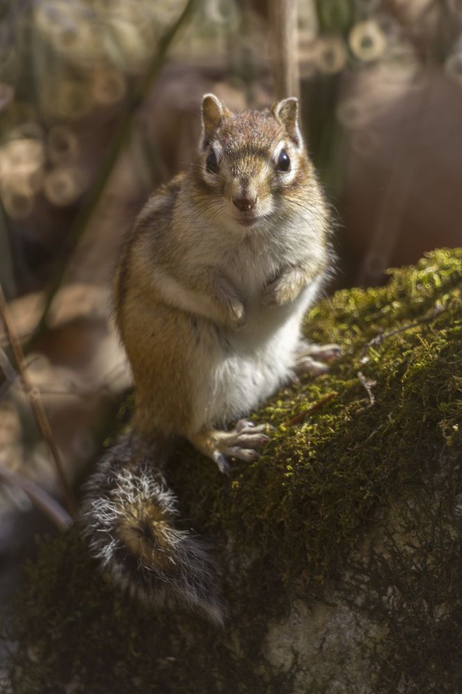 Photograph by ALEKSANDR KUZNETSOV