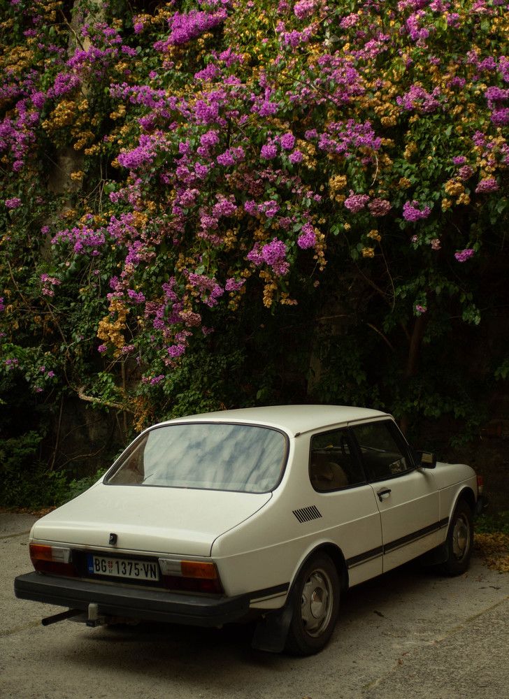 Photograph by Роман Светлов