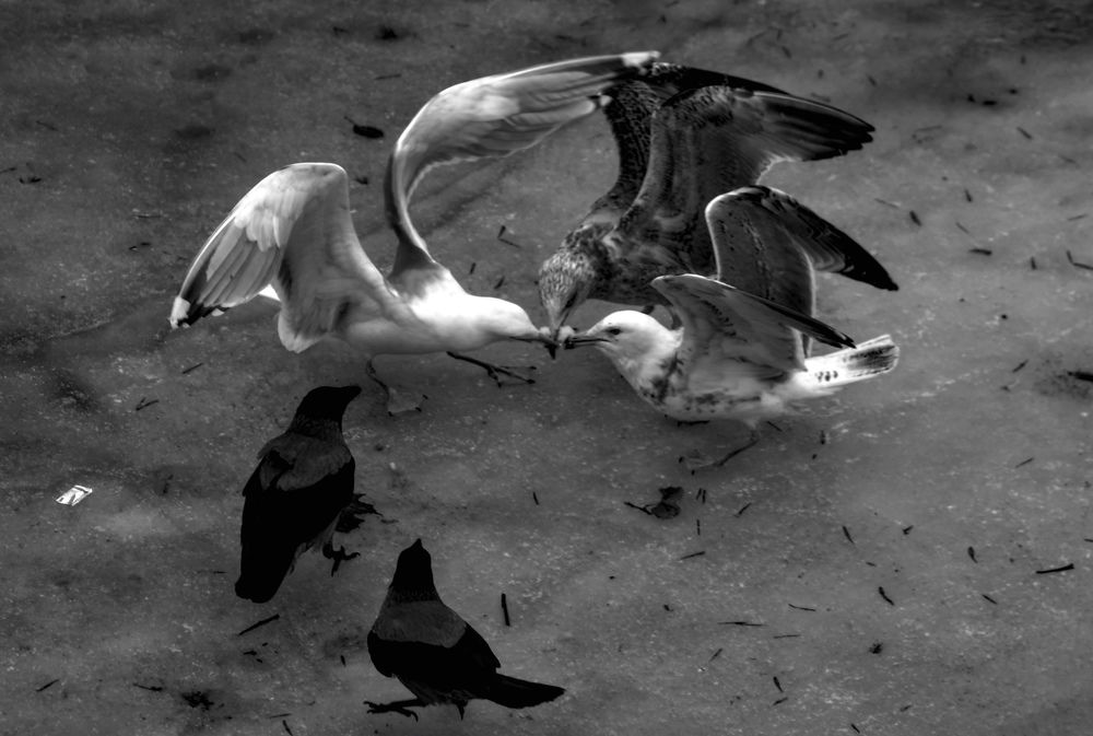 Photograph by Yana Egorova