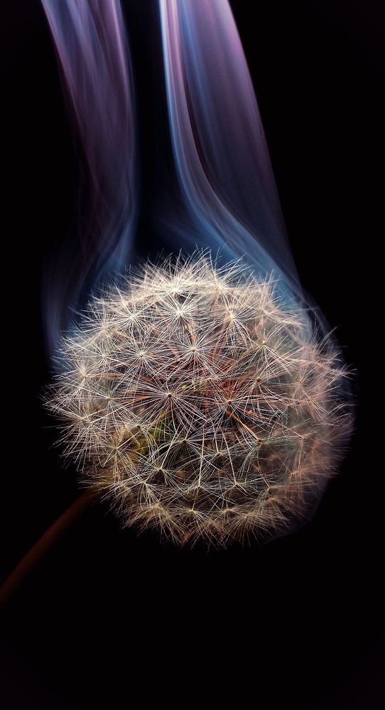 Фотография автора Mahdi Mohammadi