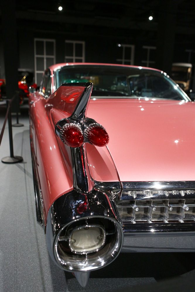 Photograph by Ivan Nustrov