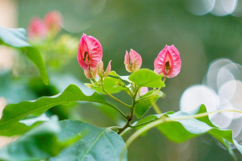 Photograph by Наталья