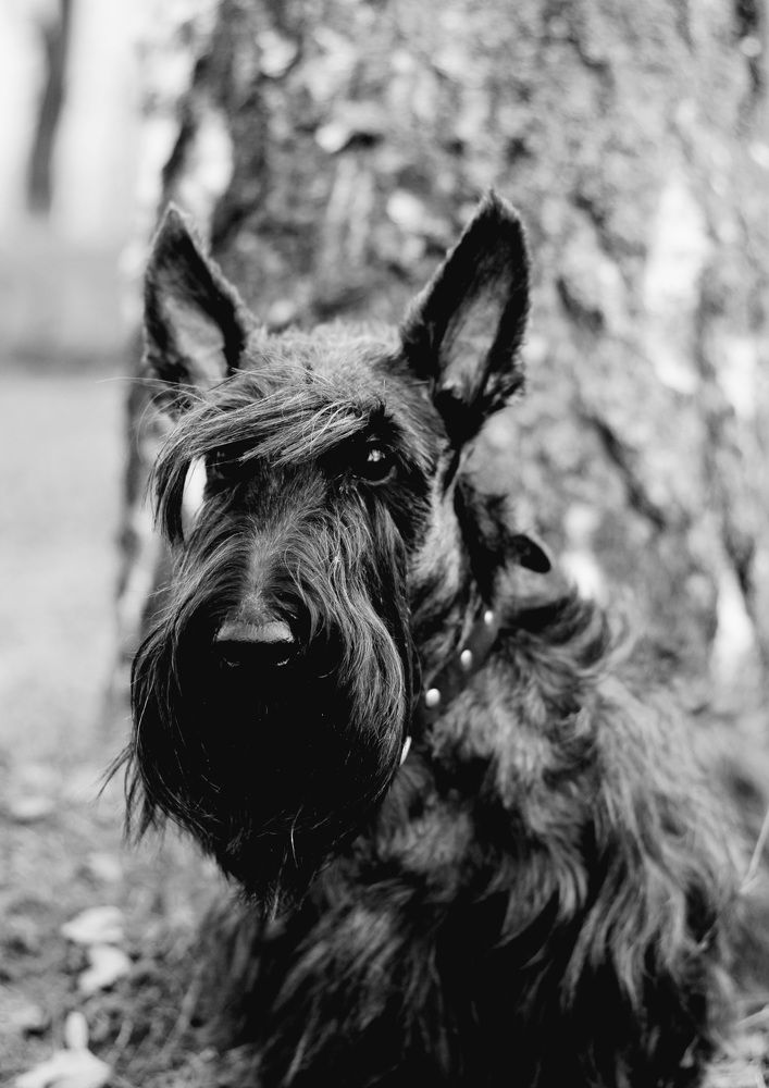 Photograph by Елена Фролова