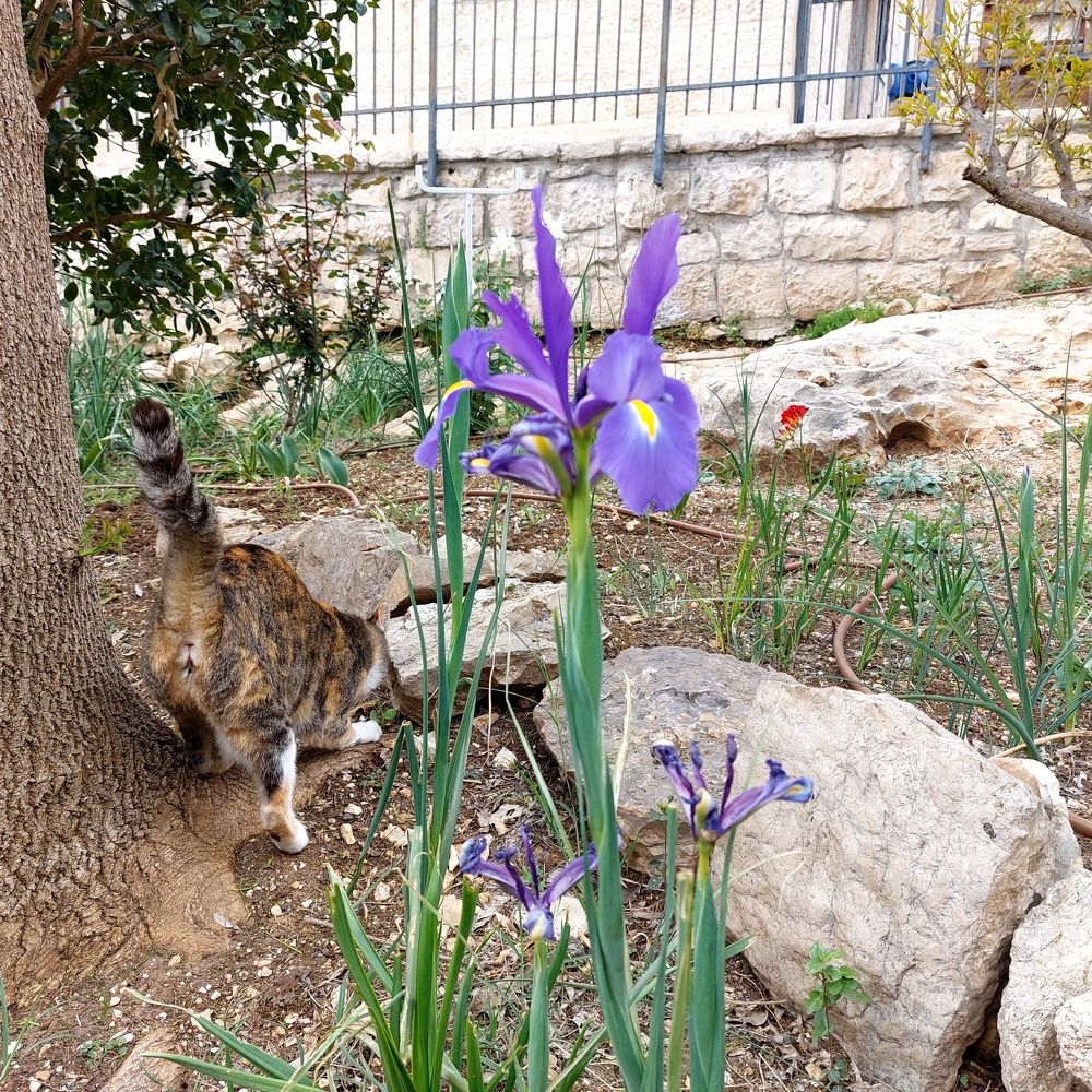 Photograph by Yulia Rotbach