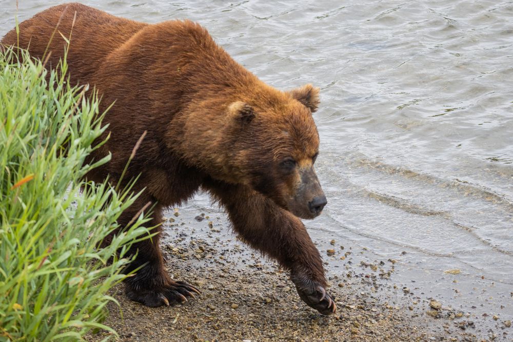 Photograph by Анастасия Григорян