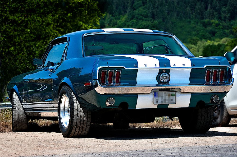 Photograph by Marina Weiland