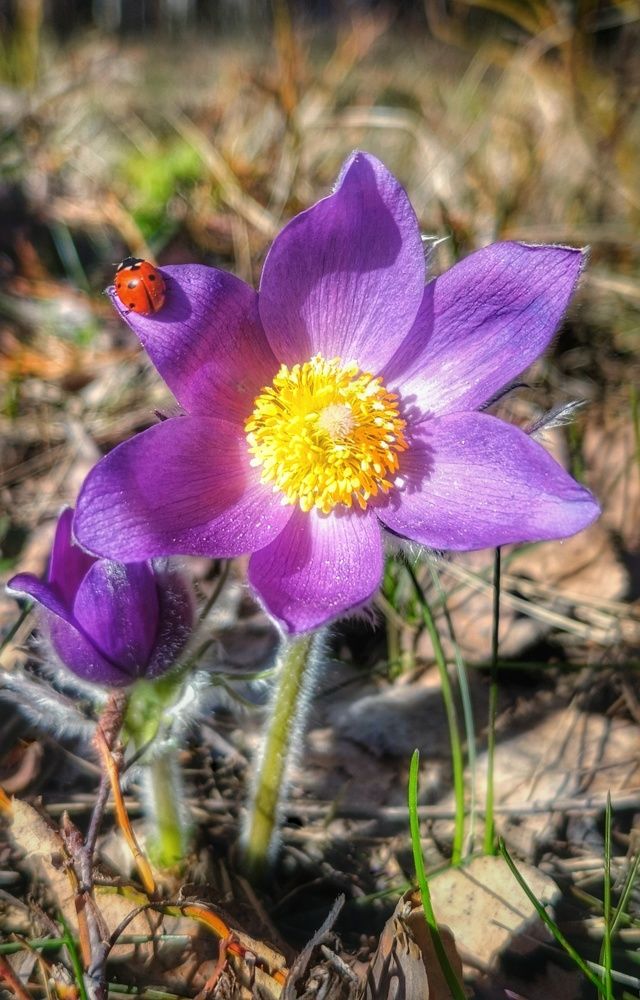 Photograph by Leanid Kulpo