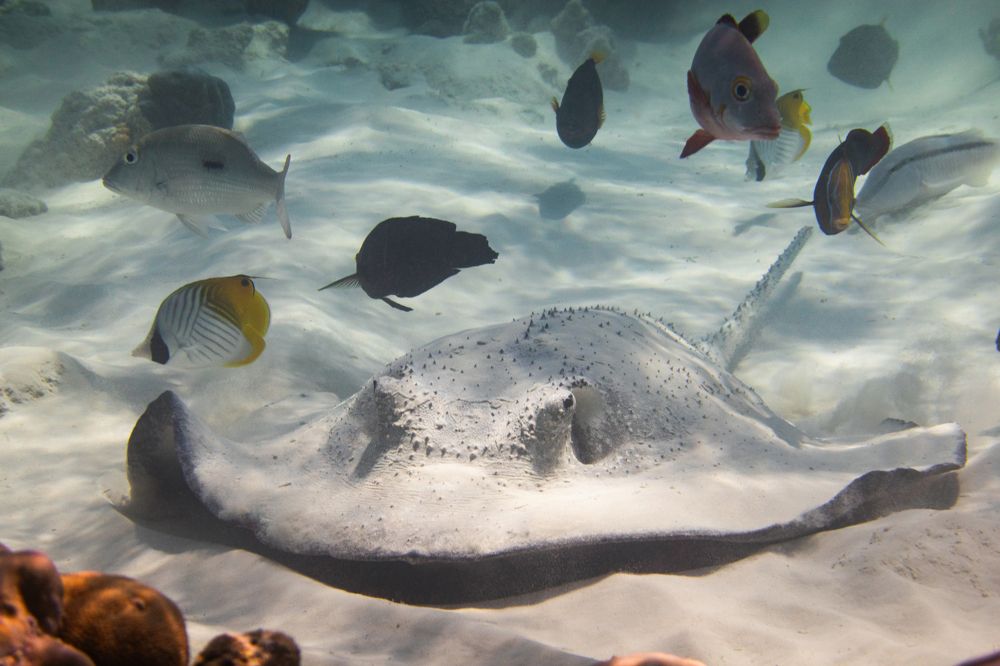 Фотография автора Andrey Shishkalov