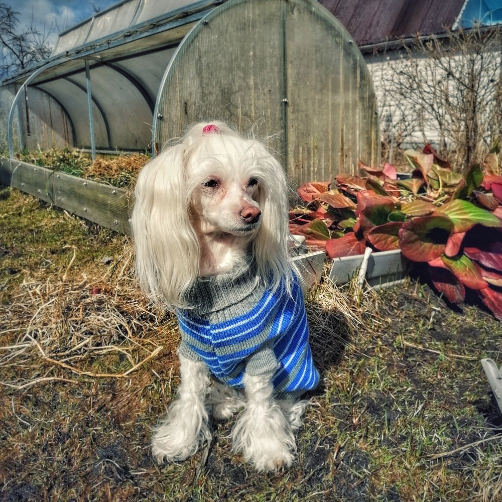 Photograph by Ксения Пылева