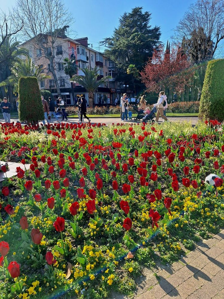 Photograph by Igor Chechin