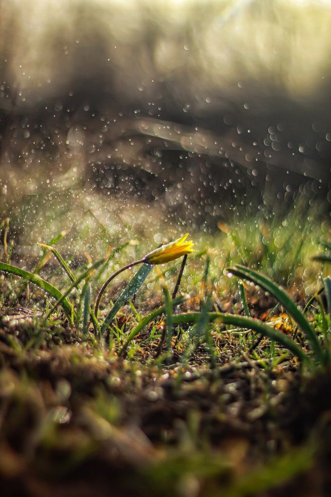 Photograph by Наталья Исиченко