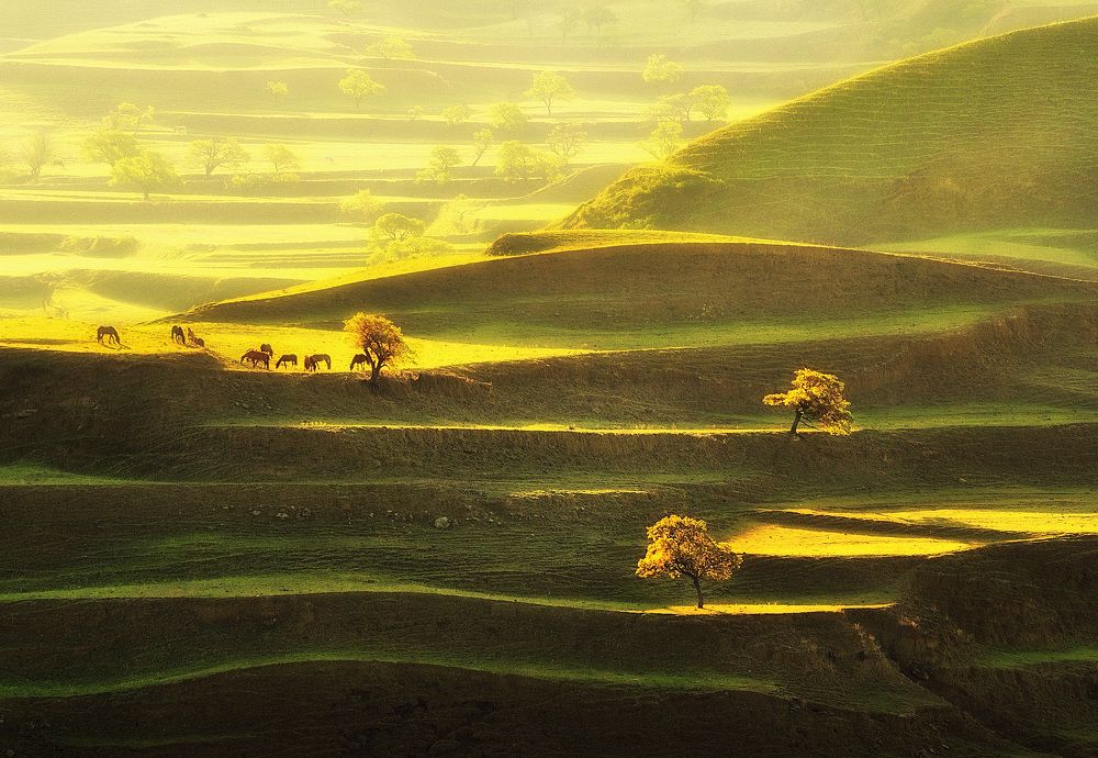 Photograph by Андрей Родионов