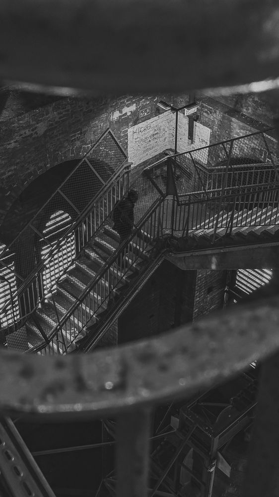 Фотография автора SvetlanaS