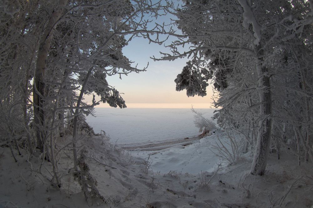 Фотография автора Максим Зарубин