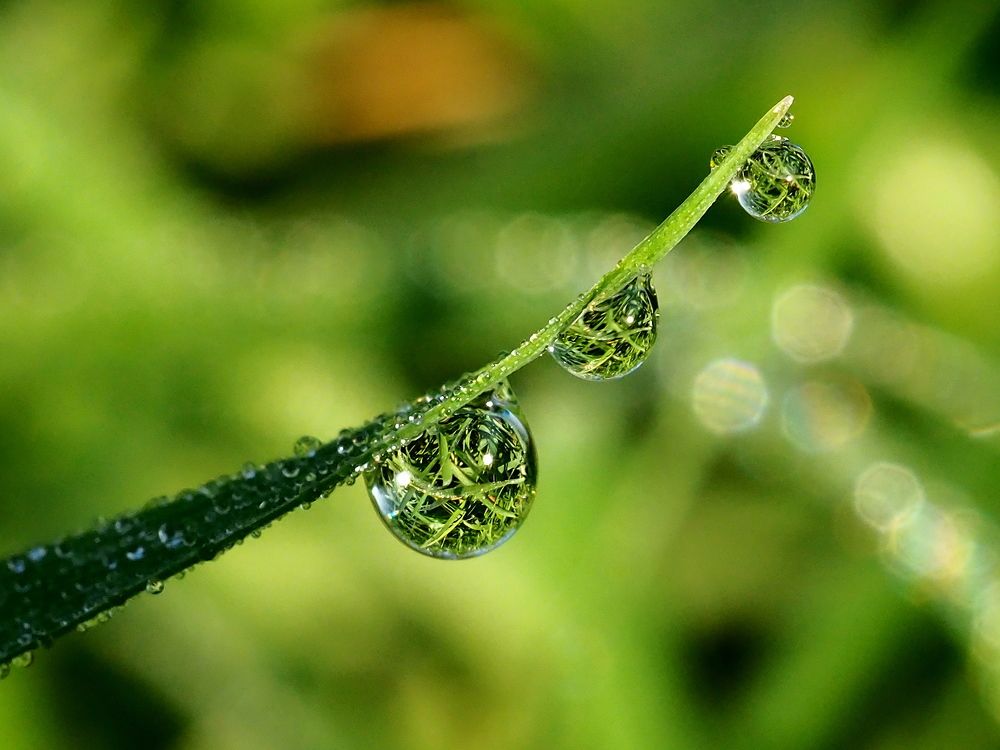 Photograph by Елена Харитонова