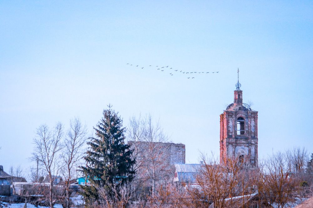 Photograph by Владимир Крылов