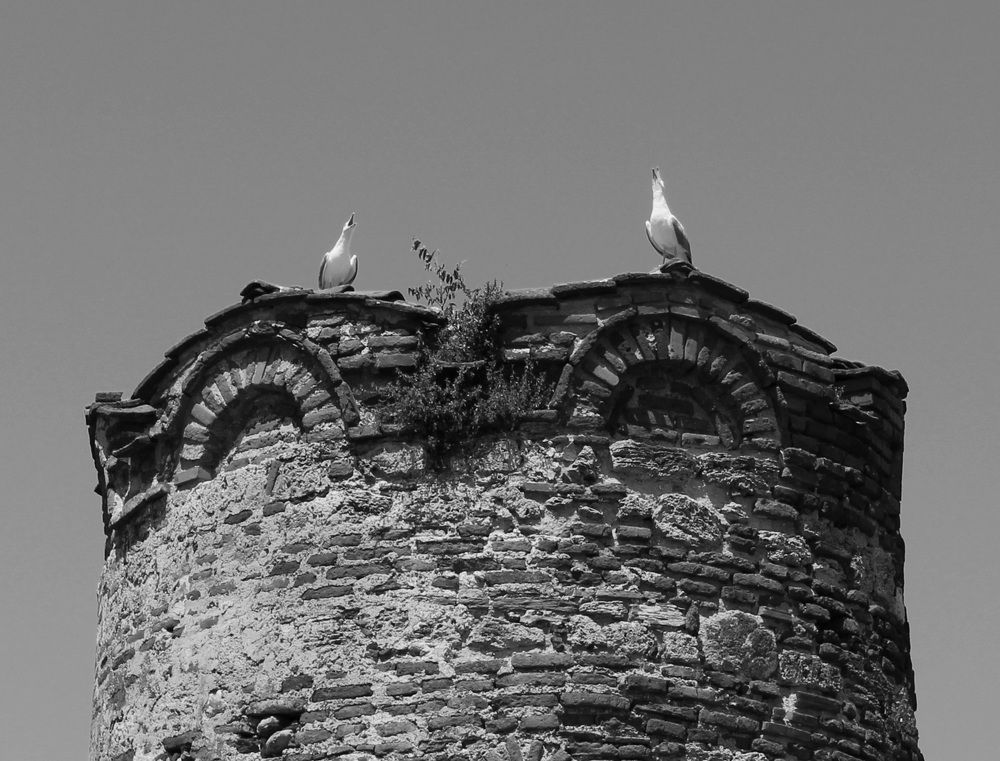 Photograph by Андрей Безгин