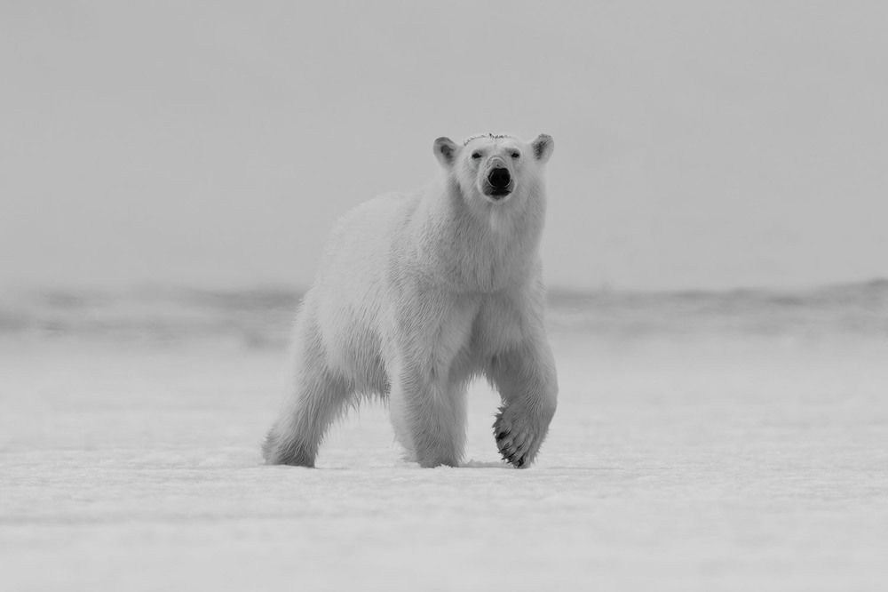 Photograph by BAISHAKHI MAZUMDAR