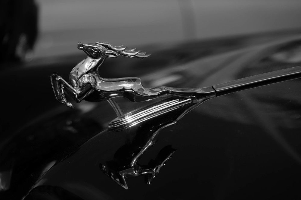 Photograph by Aleksandra