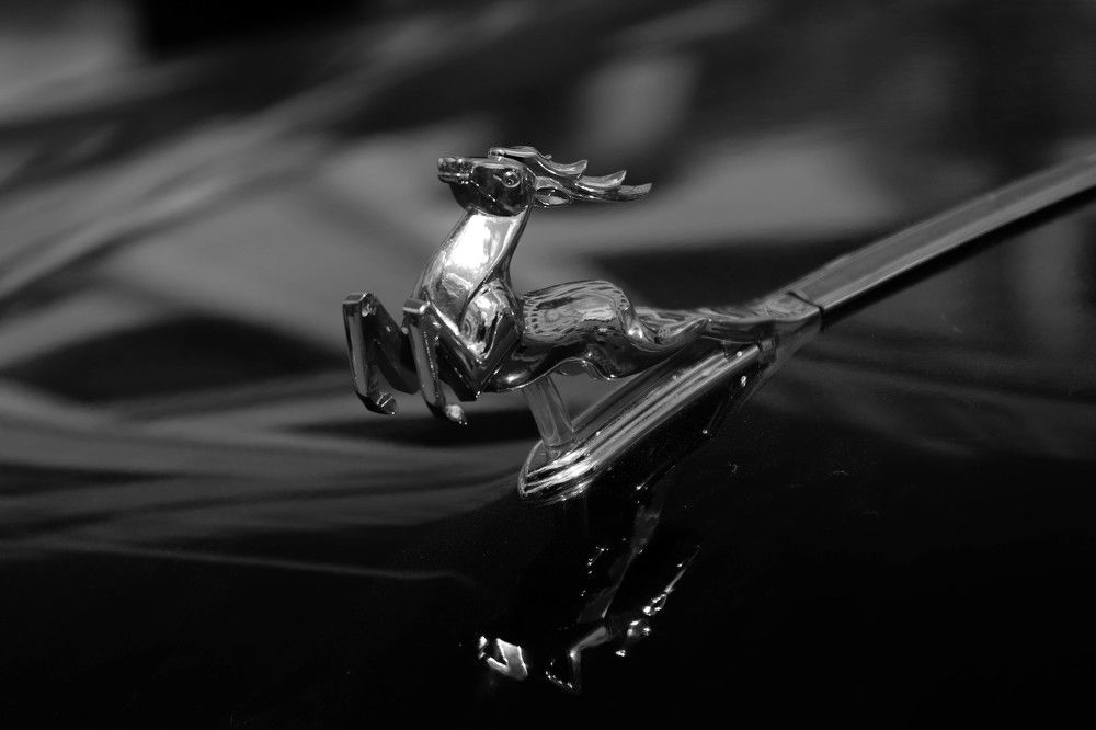 Photograph by Aleksandra