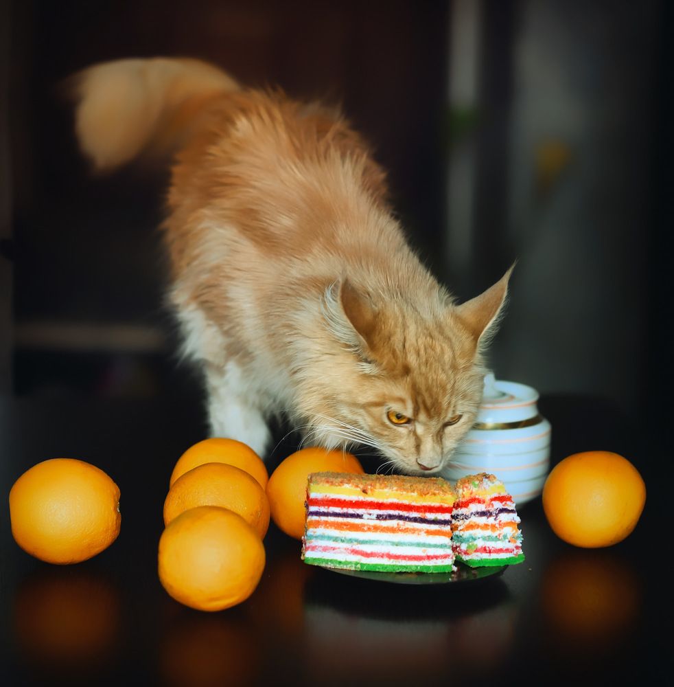 Photograph by Marina Ivanova