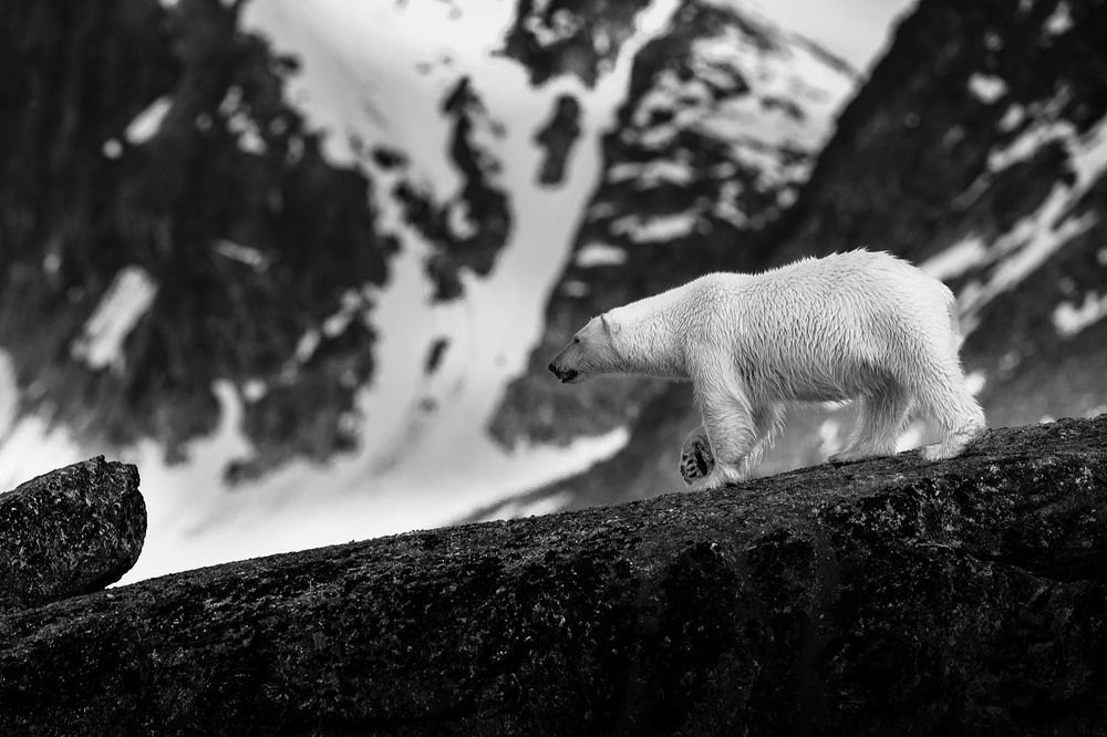 Photograph by BAISHAKHI MAZUMDAR