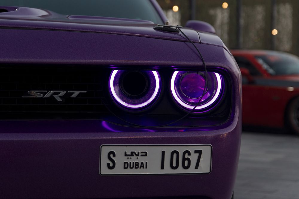 Фотография автора Игорь Ефремычев