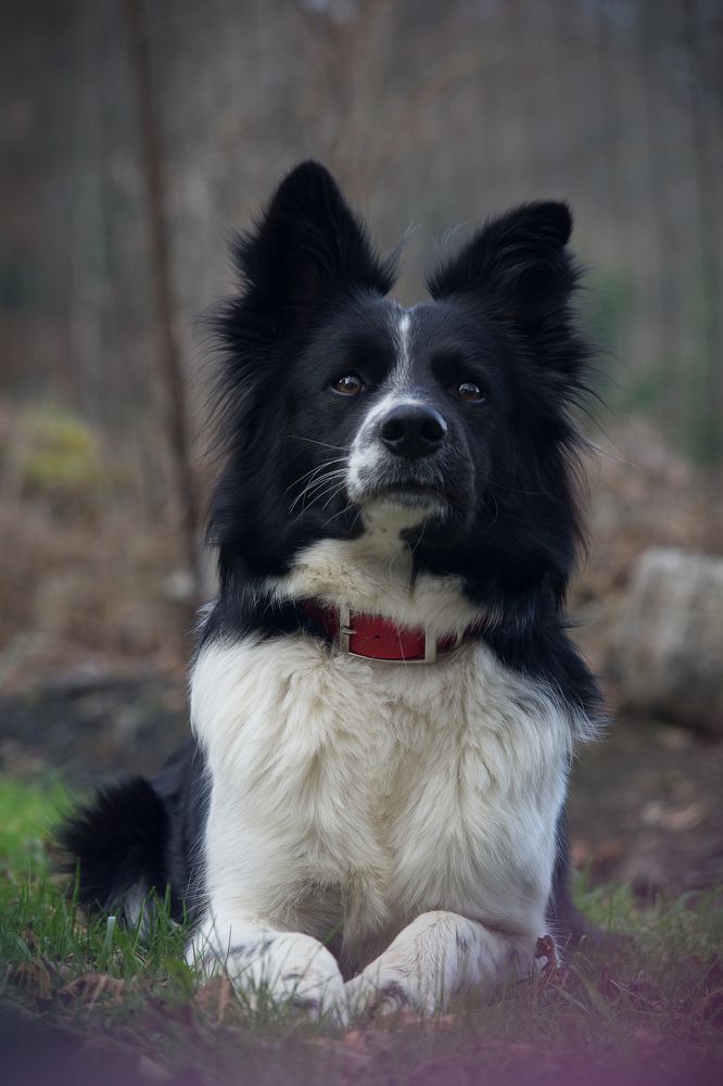 Photograph by Thaïs de Benoist de Gentissard