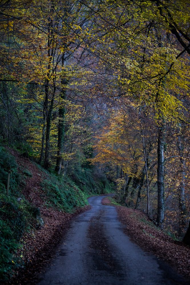 Photograph by Thaïs de Benoist de Gentissard
