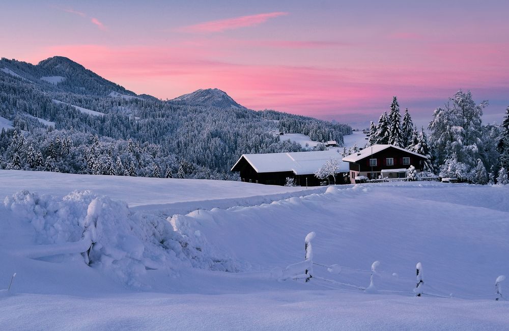 Photograph by Elena Wymann