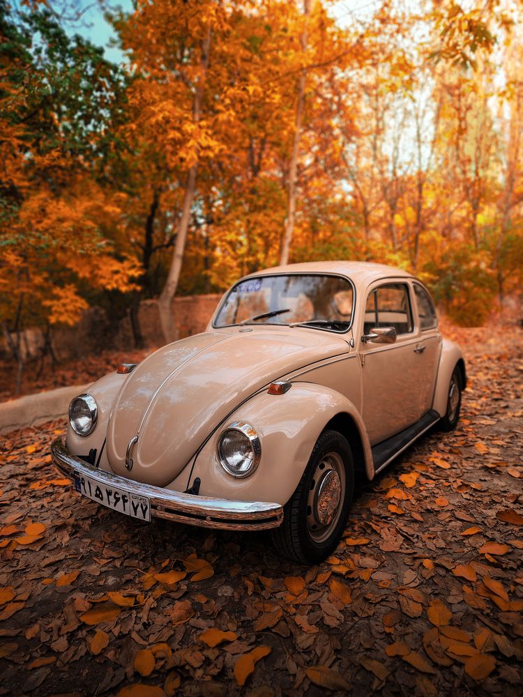 Photograph by Alireza Moghimi