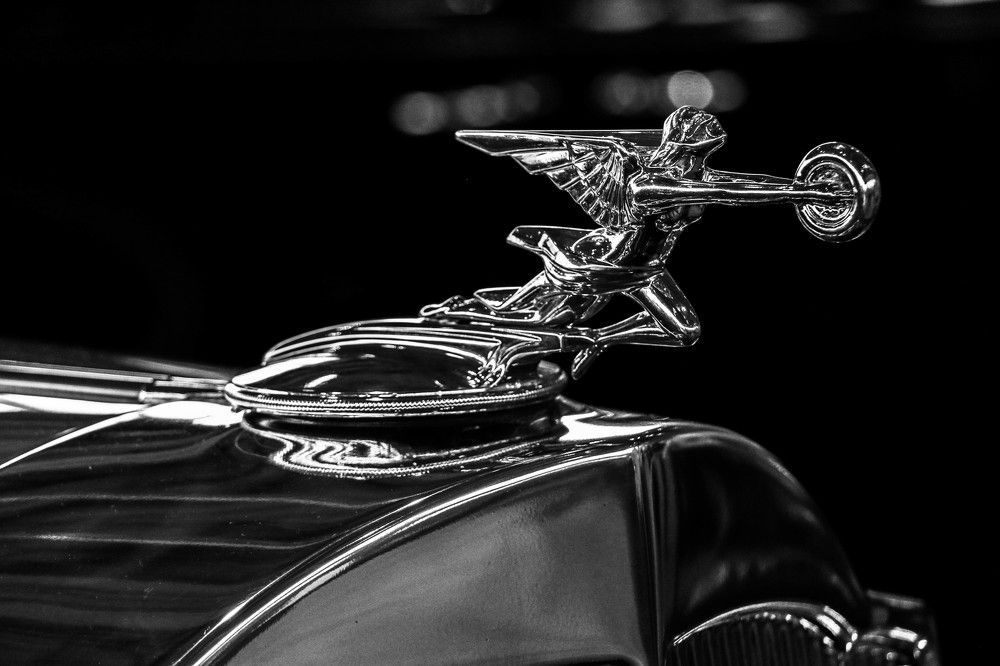 Photograph by Aleksandra