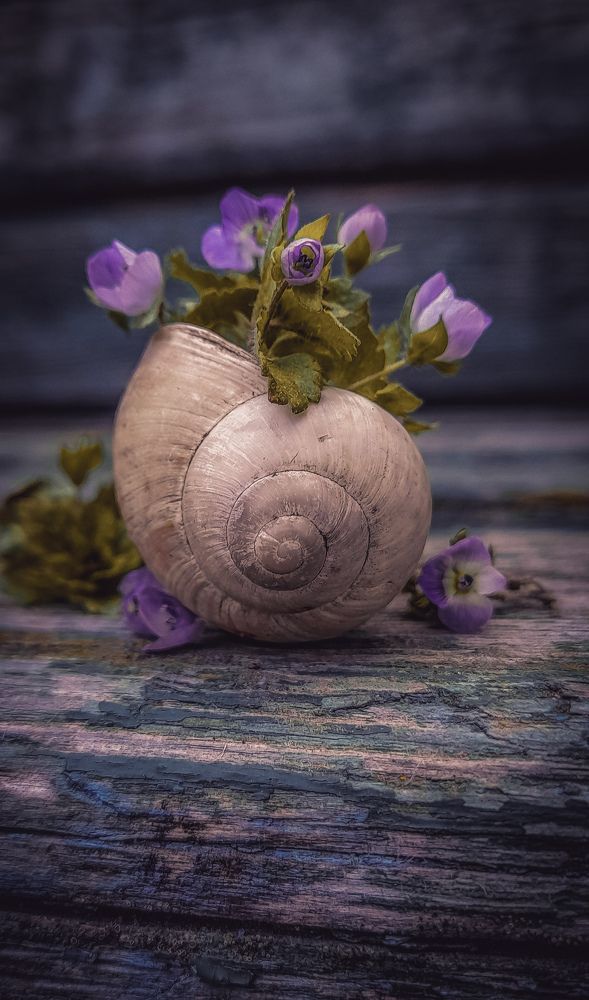 Photograph by Наталья Лищинская