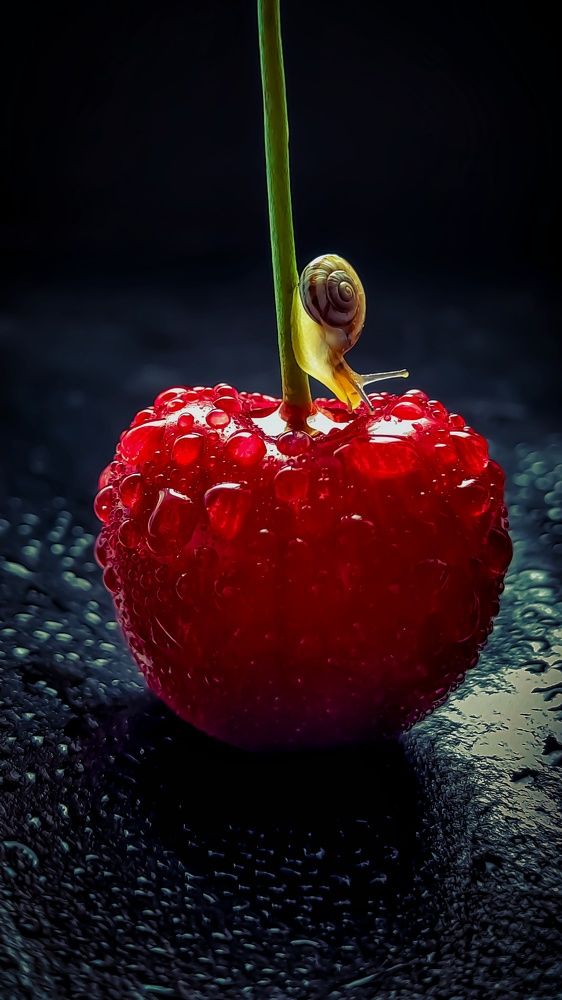 Photograph by Наталья Лищинская