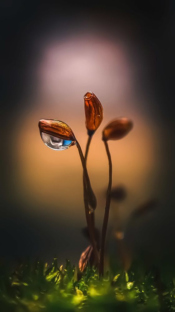 Photograph by Наталья Лищинская