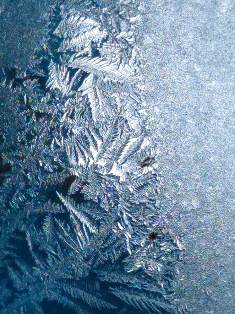 Photograph by Елена Коробченко