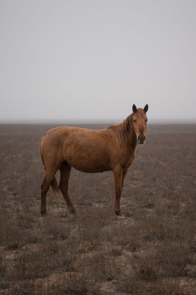 Фотография автора Адам Шаповалов