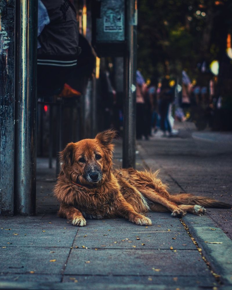 Photograph by Fighter Sky