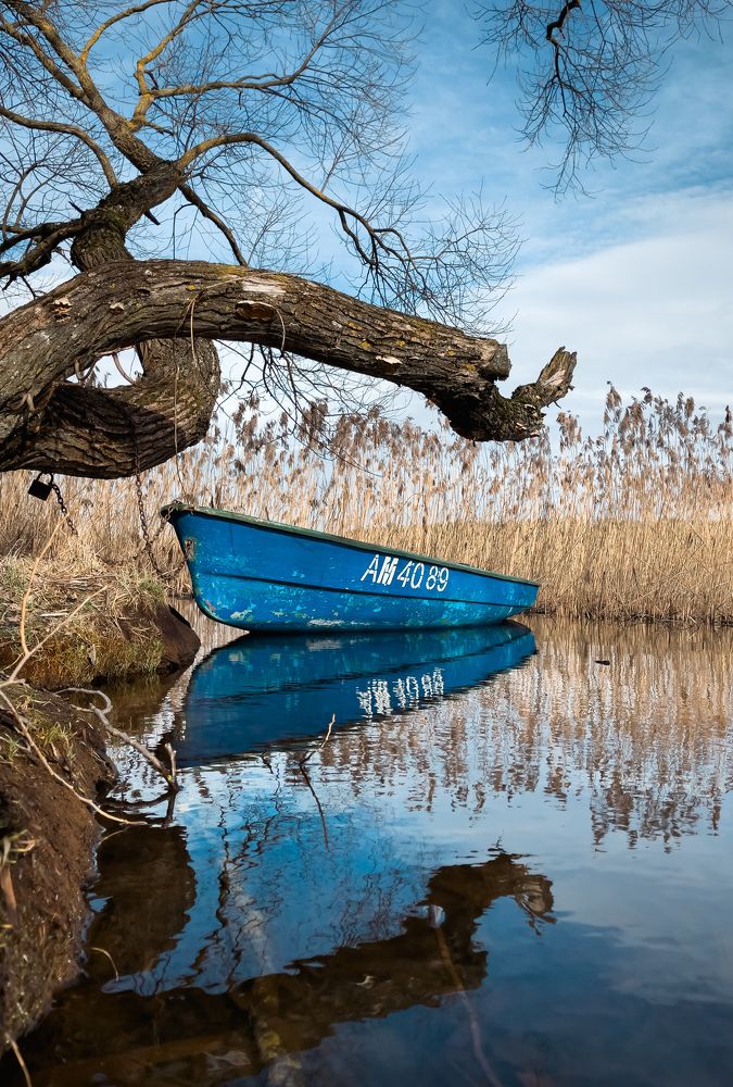Фотография автора Геннадий Ломеко