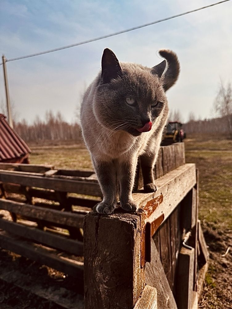 Photograph by Диана Бадеева