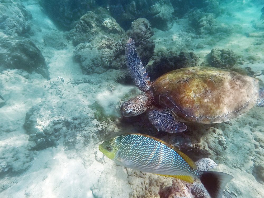 Photograph by Михаил