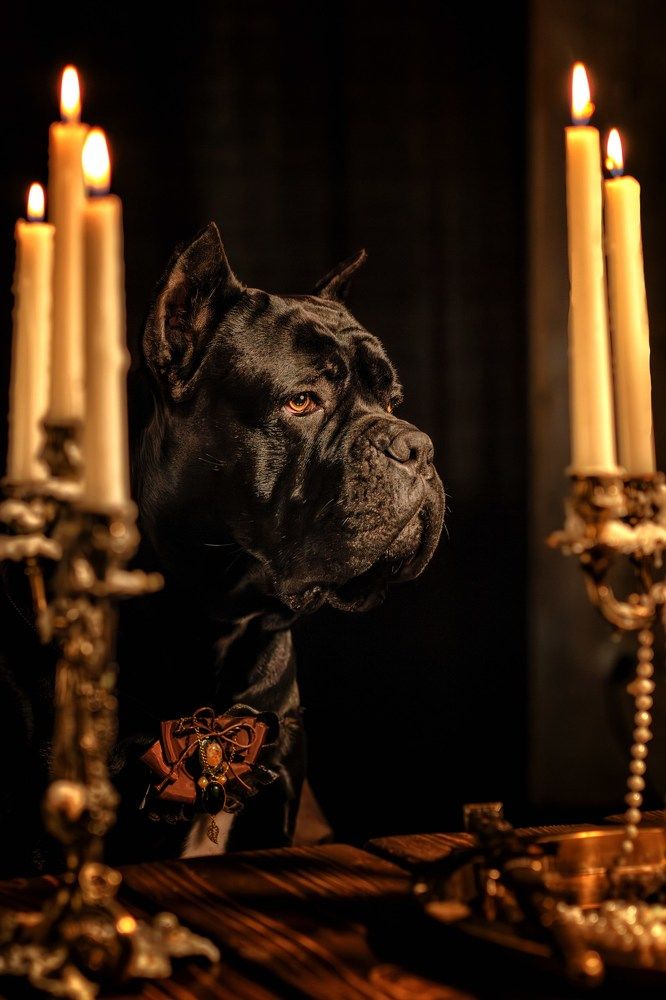 Photograph by Зубкова Юлия