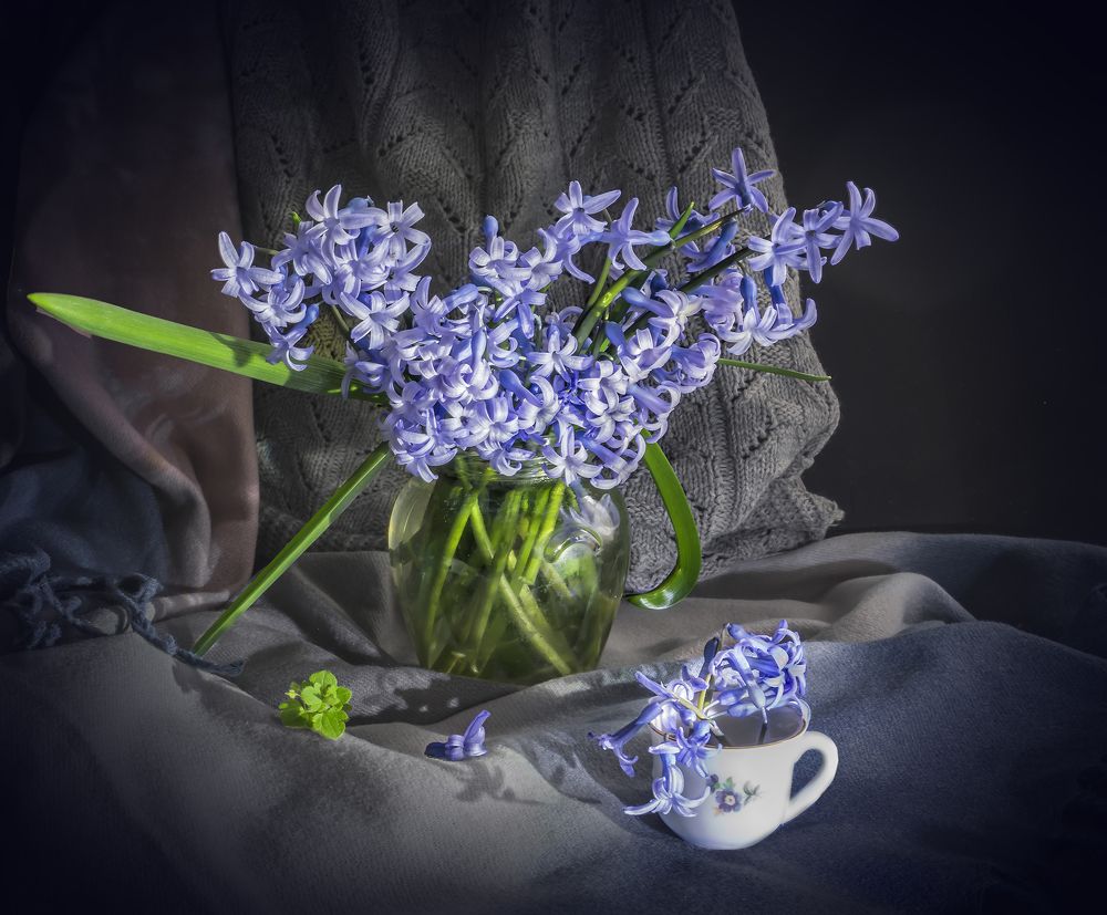 Фотография автора Milena Ivanova