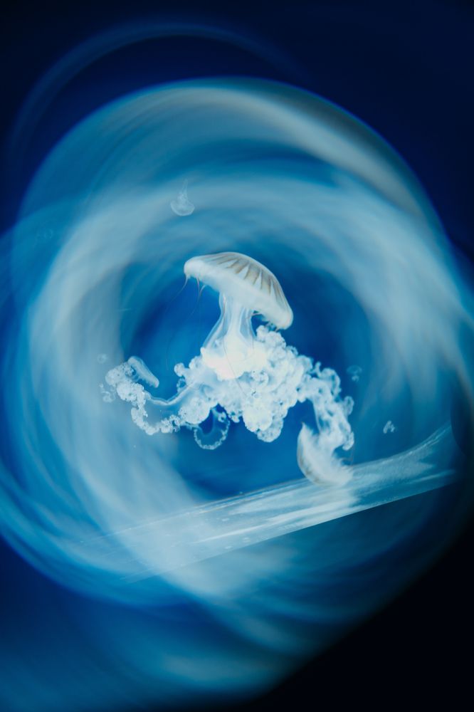 Photograph by Olga Tiurina