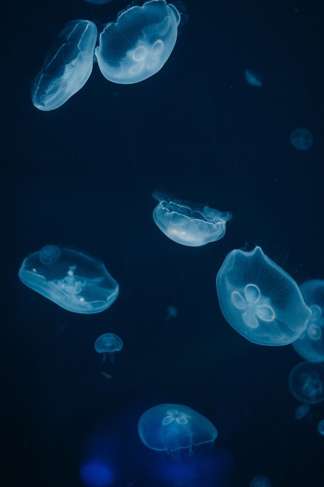 Photograph by Olga Tiurina