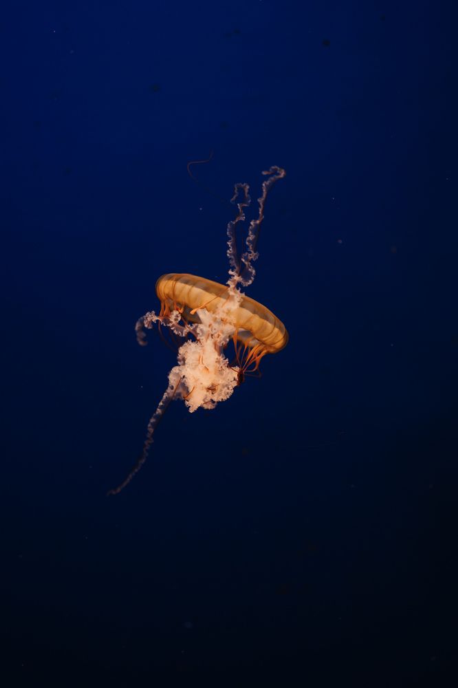 Photograph by Olga Tiurina